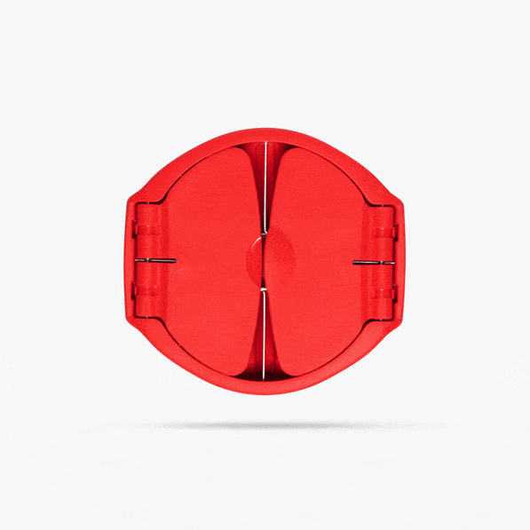 Dreamfarm Flapple An Ultra-Sharp Fold Flat Apple Slicer & Corer
