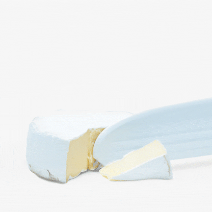 Dreamfarm Knibble Lite Non-Stick Cheese Knife with Serving Fork for Nibbles