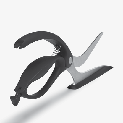 Dreamfarm Scizza The World's Best Pizza Scissors & Server